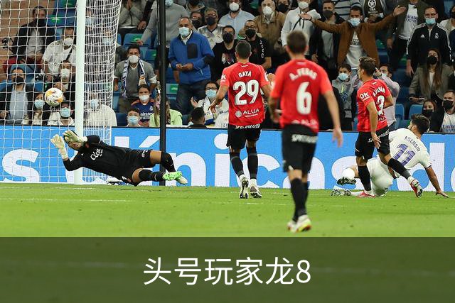 头号玩家龙8公司环境与团队